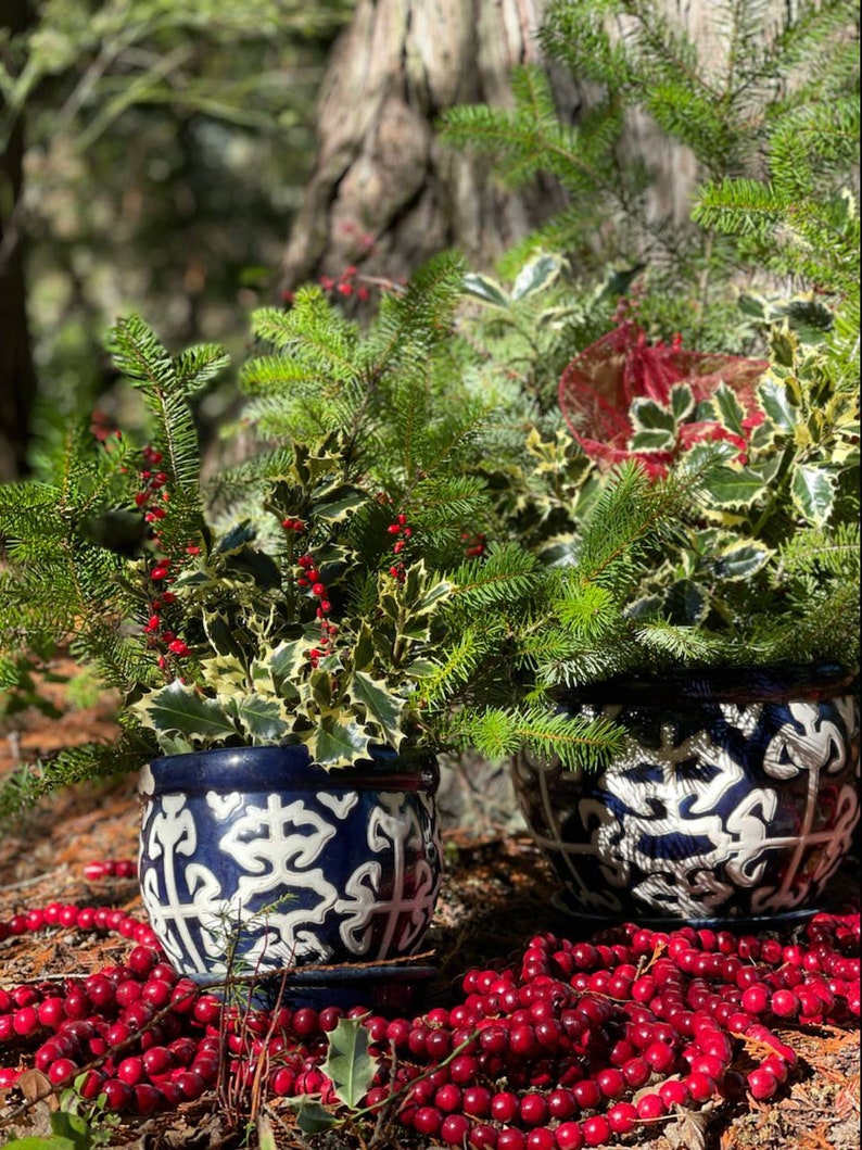 May include: Two blue and white ceramic planters with a decorative design, filled with green sprigs and red berries. The planters are sitting on a bed of red berries.