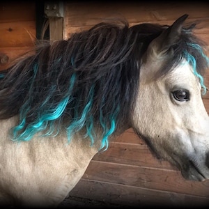 Turquoise Mane Hair Extensions for Horses (Perfect for Parties, Parades & Shows)