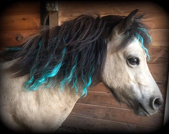 Turquoise Mane Hair Extensions for Horses (Perfect for Parties, Parades & Shows)