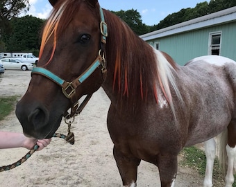 Sunshine Ombré Mane Hair Extensions for Horses