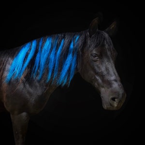 Design Your Own Mane Hair Extensions for Horses (Perfect for Parties, Parades & Shows)