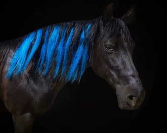 Design Your Own Mane Hair Extensions for Horses (Perfect for Parties, Parades & Shows)