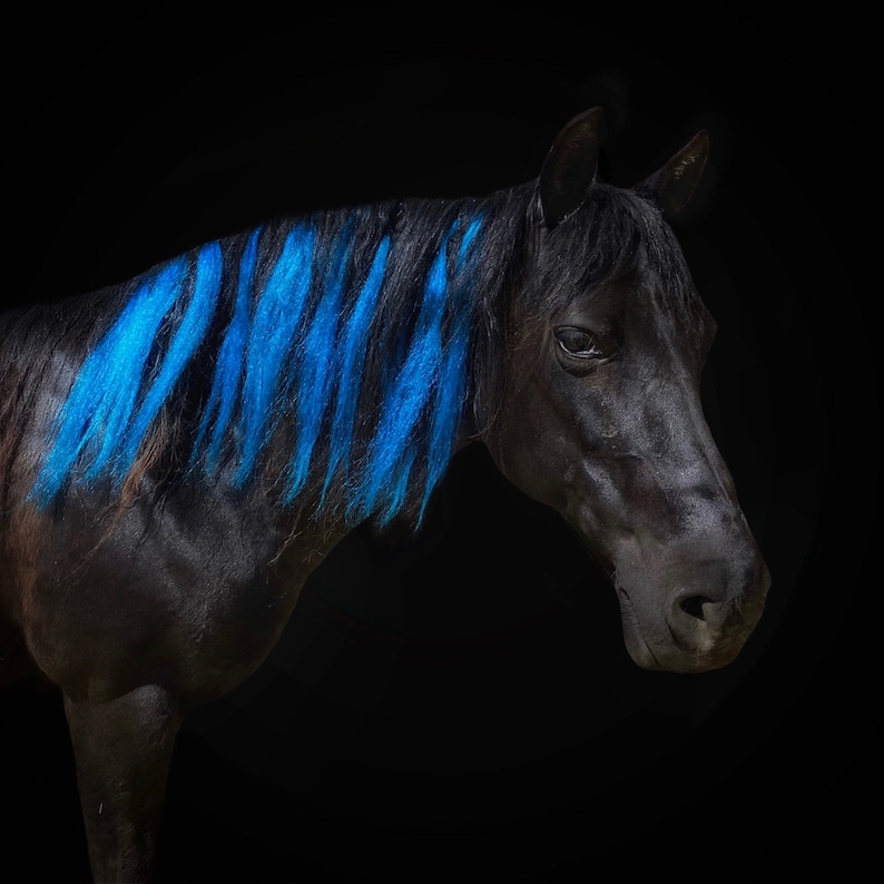 Design Your Own Mane Hair Extensions for Horses Perfect for Parties, Parades & Shows image 1