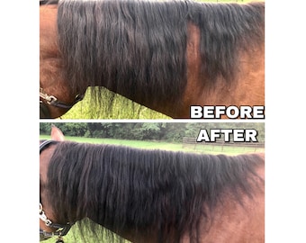 Mane Hair Extensions for Horses (Perfect for Parties, Parades & Shows)