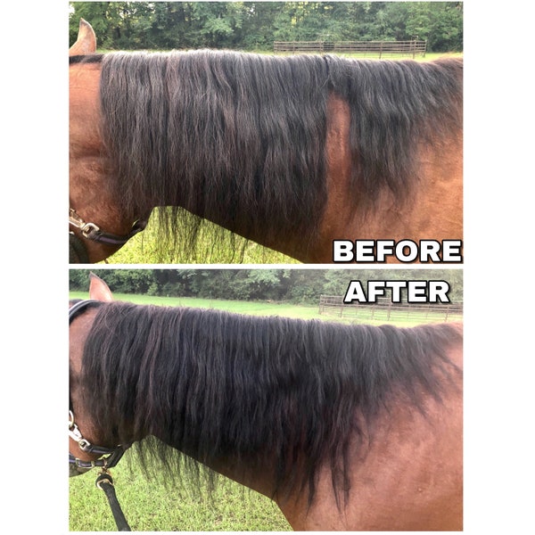 Mane Hair Extensions for Horses (Perfect for Parties, Parades & Shows)