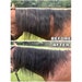 see more listings in the Mane Extensions  section