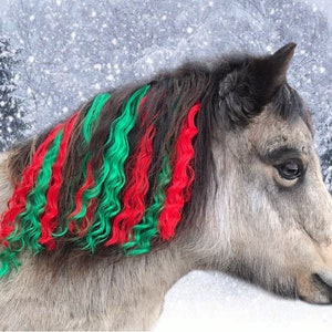 Extensões de cabelo de juba vermelha e verde de Natal para cavalos (perfeitas para festas, desfiles e shows)