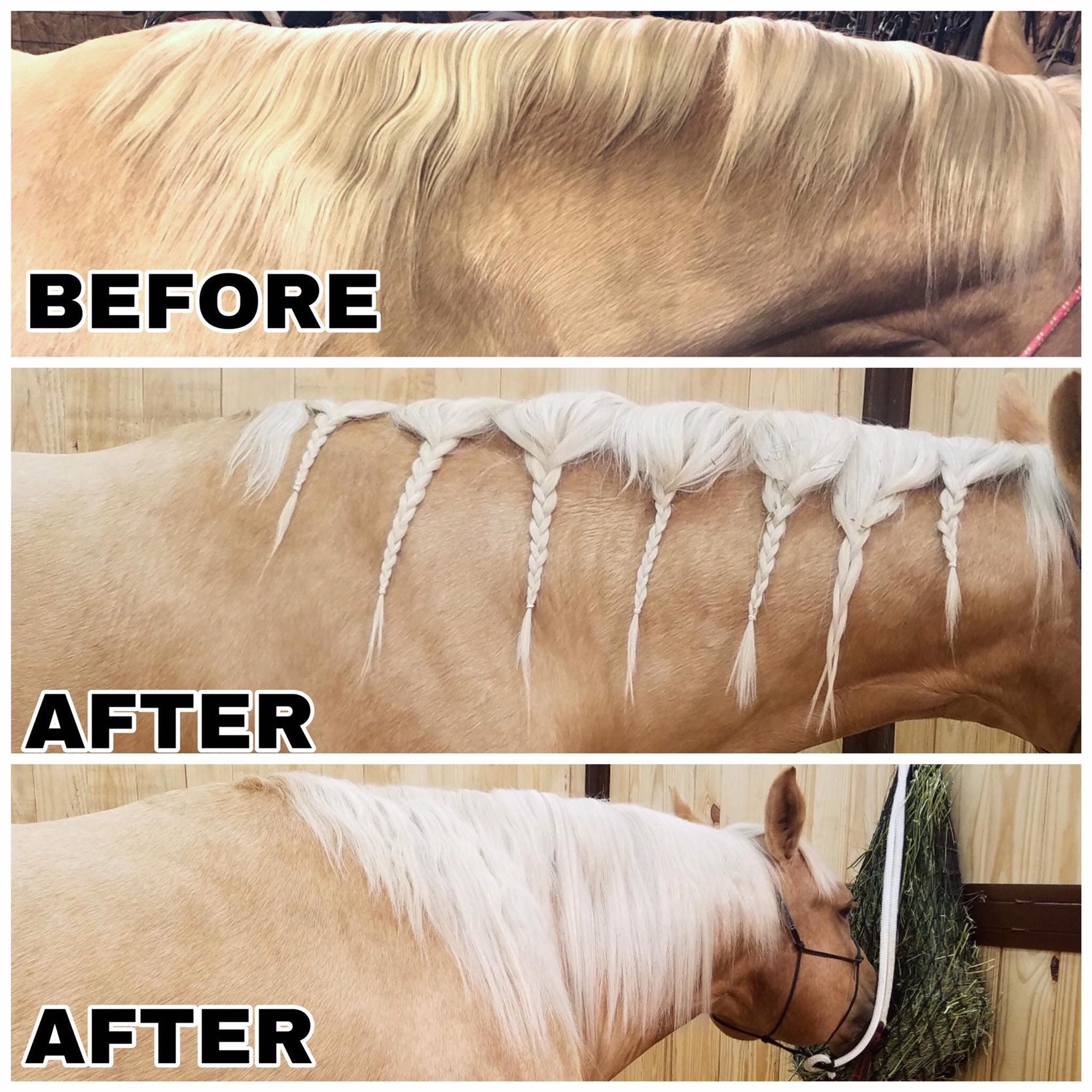 Mane Hair Extensions for Horses perfect for Parties Parades Etsy UK