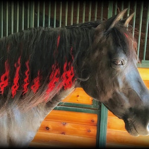 Puede incluir: Un caballo negro con rayas rojas en su crin. El caballo está de pie en un establo con paredes de madera y una puerta de metal verde.