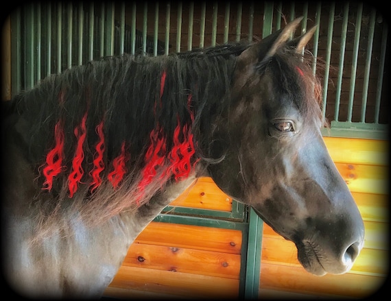 Fire Engine Red Mane Hair Extensions for Horses