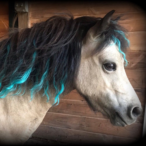 Set Di 40 Accessori Per Criniera E Coda Cavallo Con Glitter - Tinsel E Extension Colorate Con Strumento Incluso, Ideali Per Matrimoni E Feste Western - 6