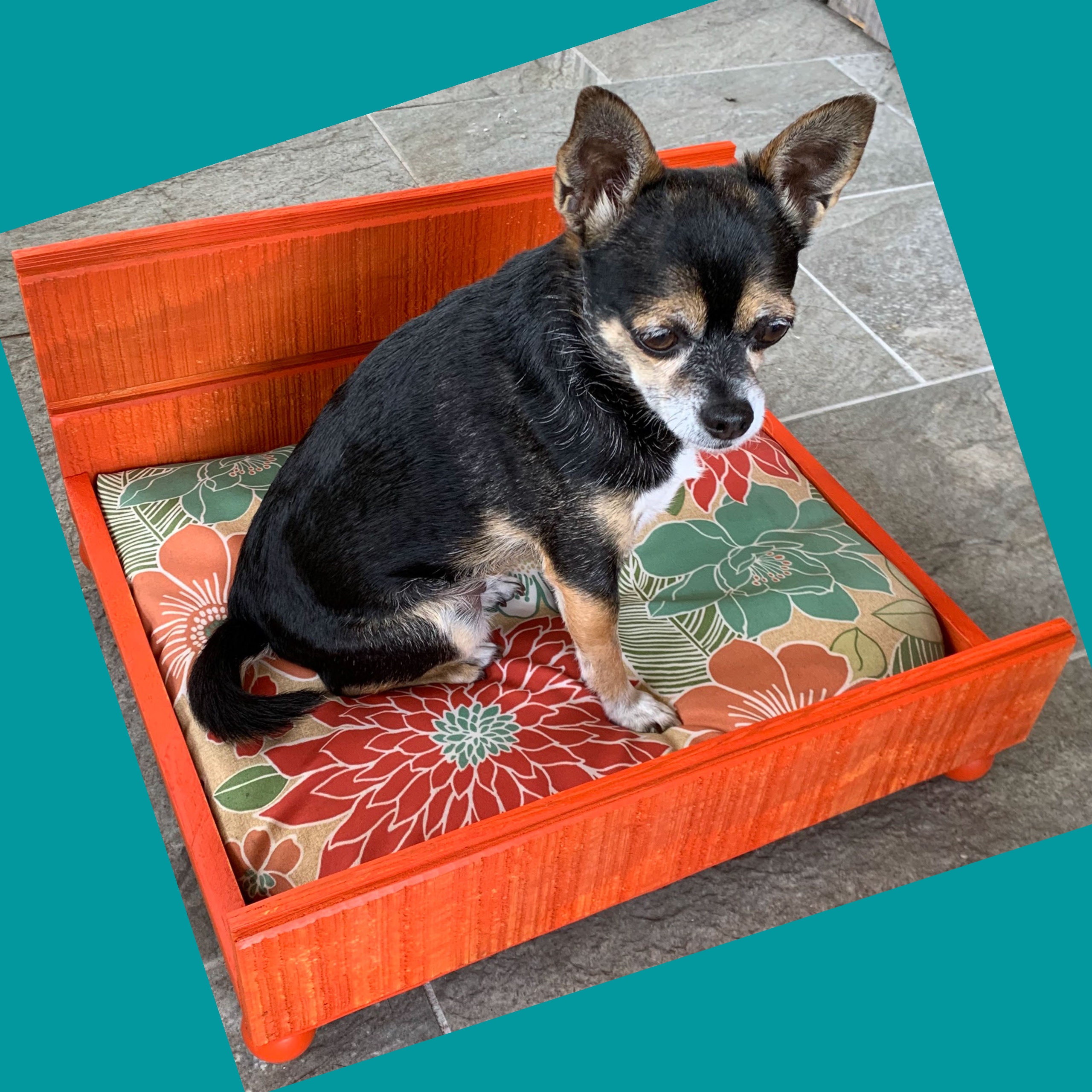 Handmade Pet Bed Small Size Cat Bed Dog Bed Etsy