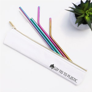 Roestvrij staal stro set | Strozak | Milieuvriendelijke rietjes | Herbruikbare rietjes | De Rietjes van de regenboog | Rose Gold Rietjes | Zomer Drinkware