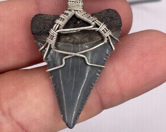 Great white shark tooth chocolate necklace fossil wrapped in sterling silver wire
