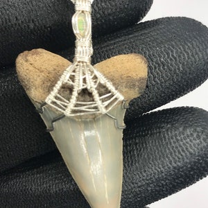 Big shark tooth necklace fossil wire wrapped in sterling silver 1.7” mako shark with opal gemstone