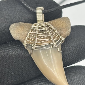 May include: A shark tooth pendant with a wire-wrapped design. The tooth is a light beige color, and the wire is silver. The pendant hangs from a black cord. The shark tooth is a fossil, and the pendant is likely handmade.