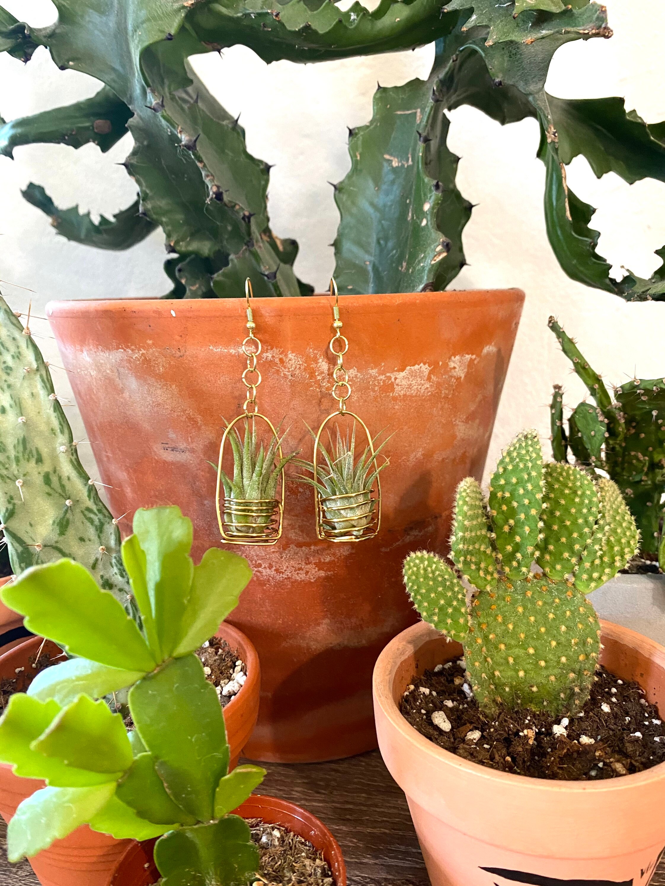 Gold Air Plant Earrings Etsy