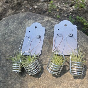 Plant Earrings for Stretched Ears