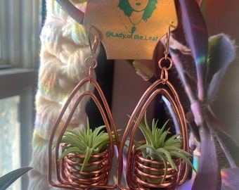 Copper Double Triangle Plant Baskets