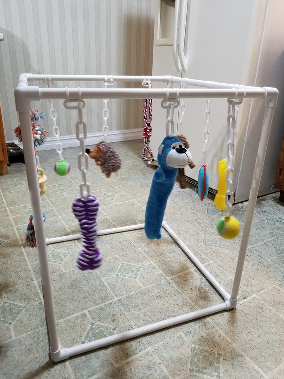 Pvc Puppy Play Gym ubicaciondepersonas.cdmx.gob.mx