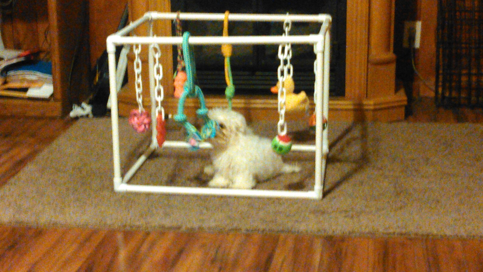 Build Your Own Puppy Play Gym Etsy