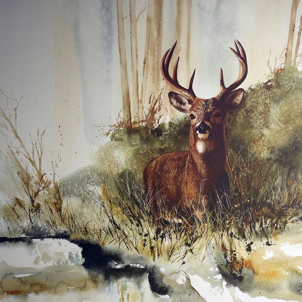 white tail deer, deer print, deer painting, wildlife, wildlife decor, wildlife art, wall art, watercolor painting