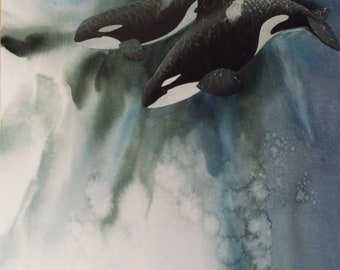 Deep Dive,killer whale prints,orca prints,