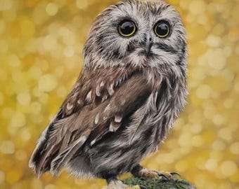 Original Pastel Drawing Painting Of Northern Saw-Whet Owl Fall Colors Background - 8" x 10"