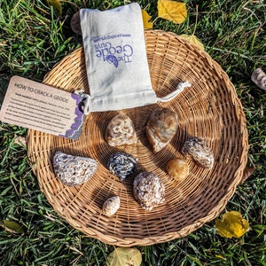Puede incluir: Una colección de ocho geodas de ágata en varios tonos de marrón, blanco y gris, dispuestas en una cesta tejida. Las geodas están rodeadas de hierba verde y hojas de otoño. Una pequeña bolsa blanca con el texto "The Geode Guys" se encuentra en la esquina superior izquierda de la imagen.