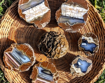 Thunderegg (whole unopened) PLEASE READ DESCRIPTION