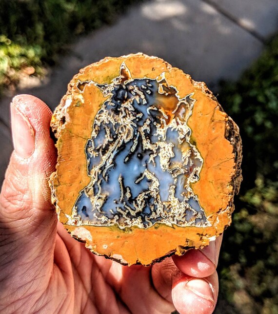 Thundereggs whole unopened PLEASE READ DESCRIPTION Etsy