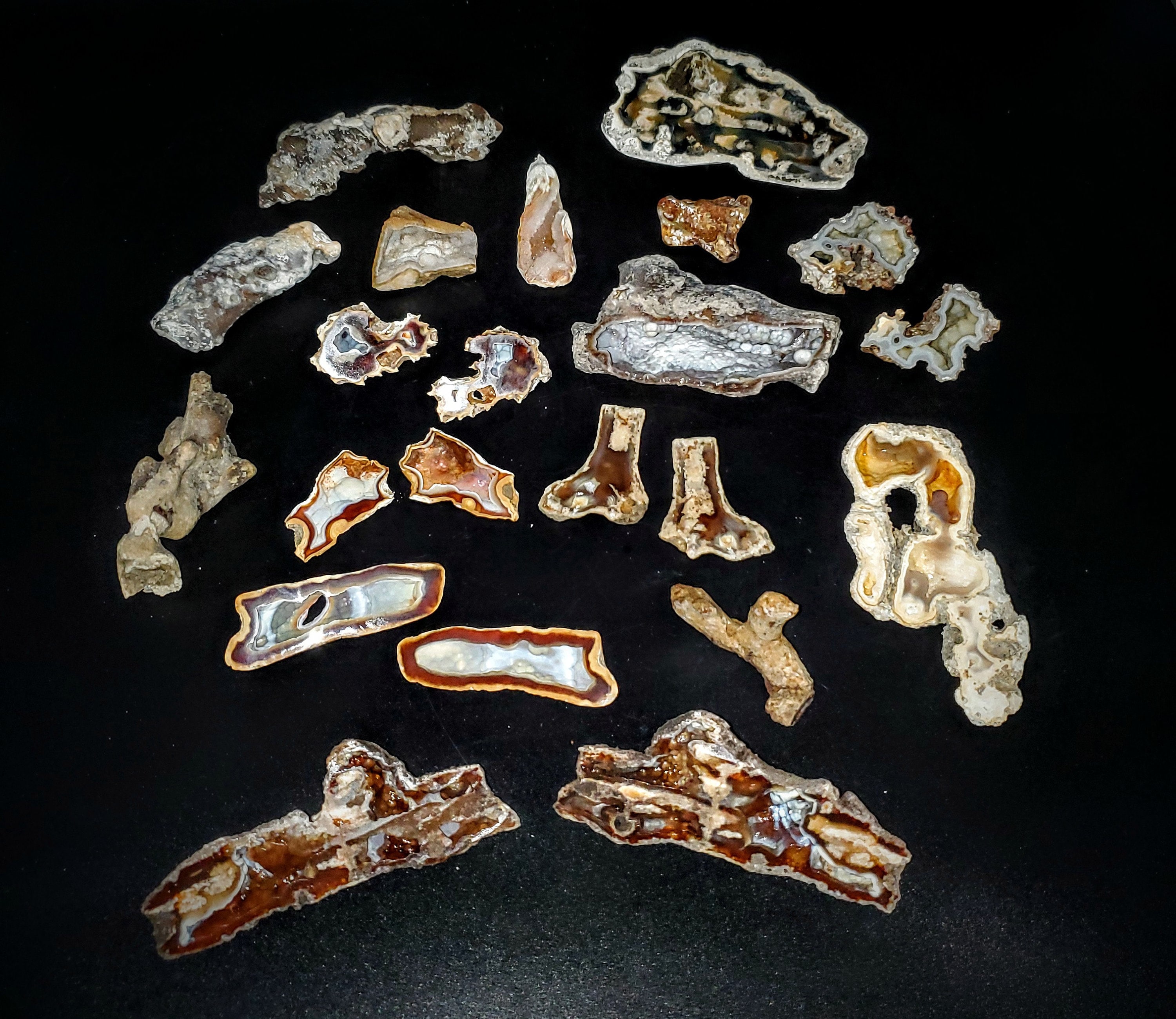 希少な瑪瑙化サンゴジオード - Etsy 日本