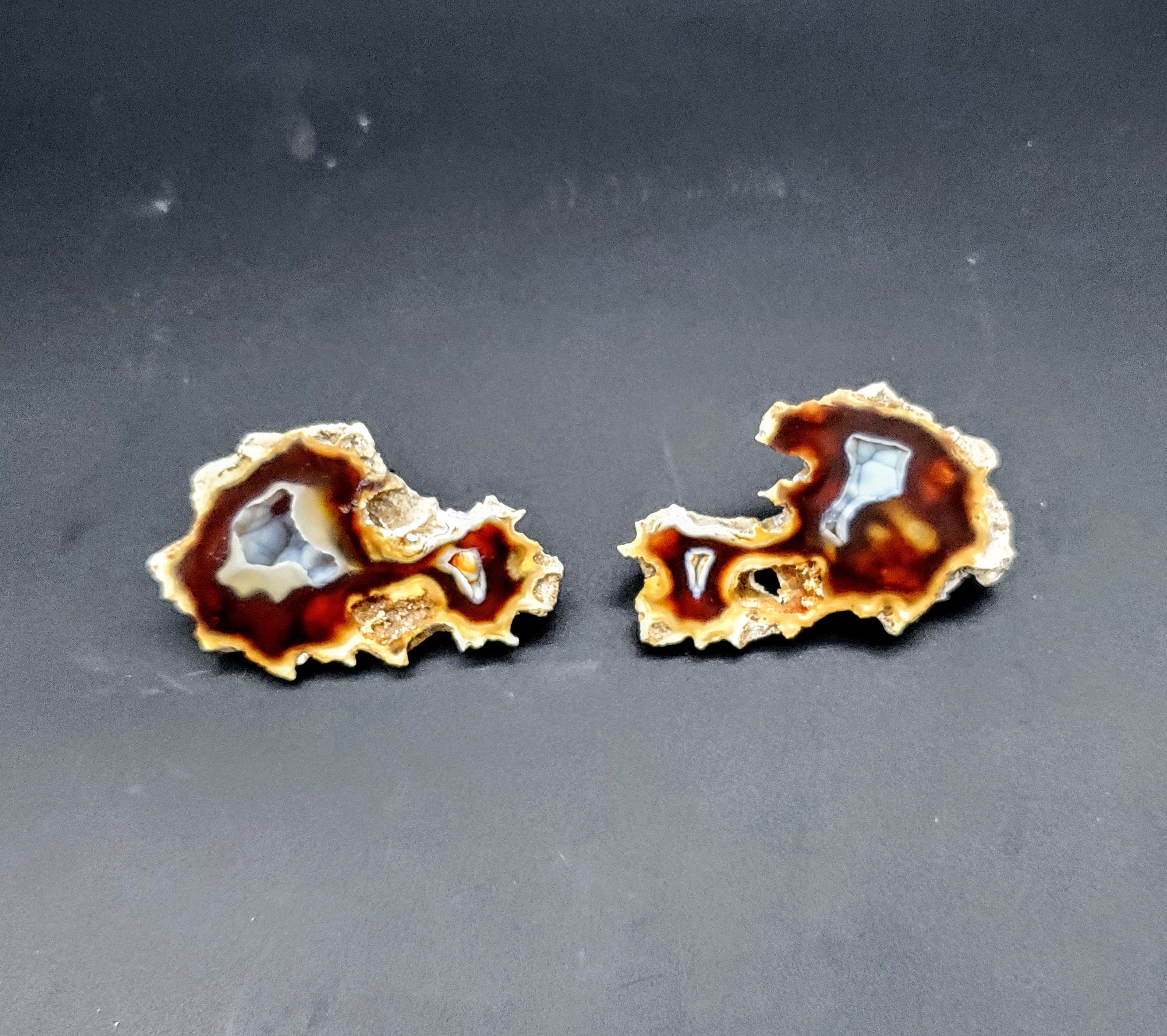 希少な瑪瑙化サンゴジオード - Etsy 日本