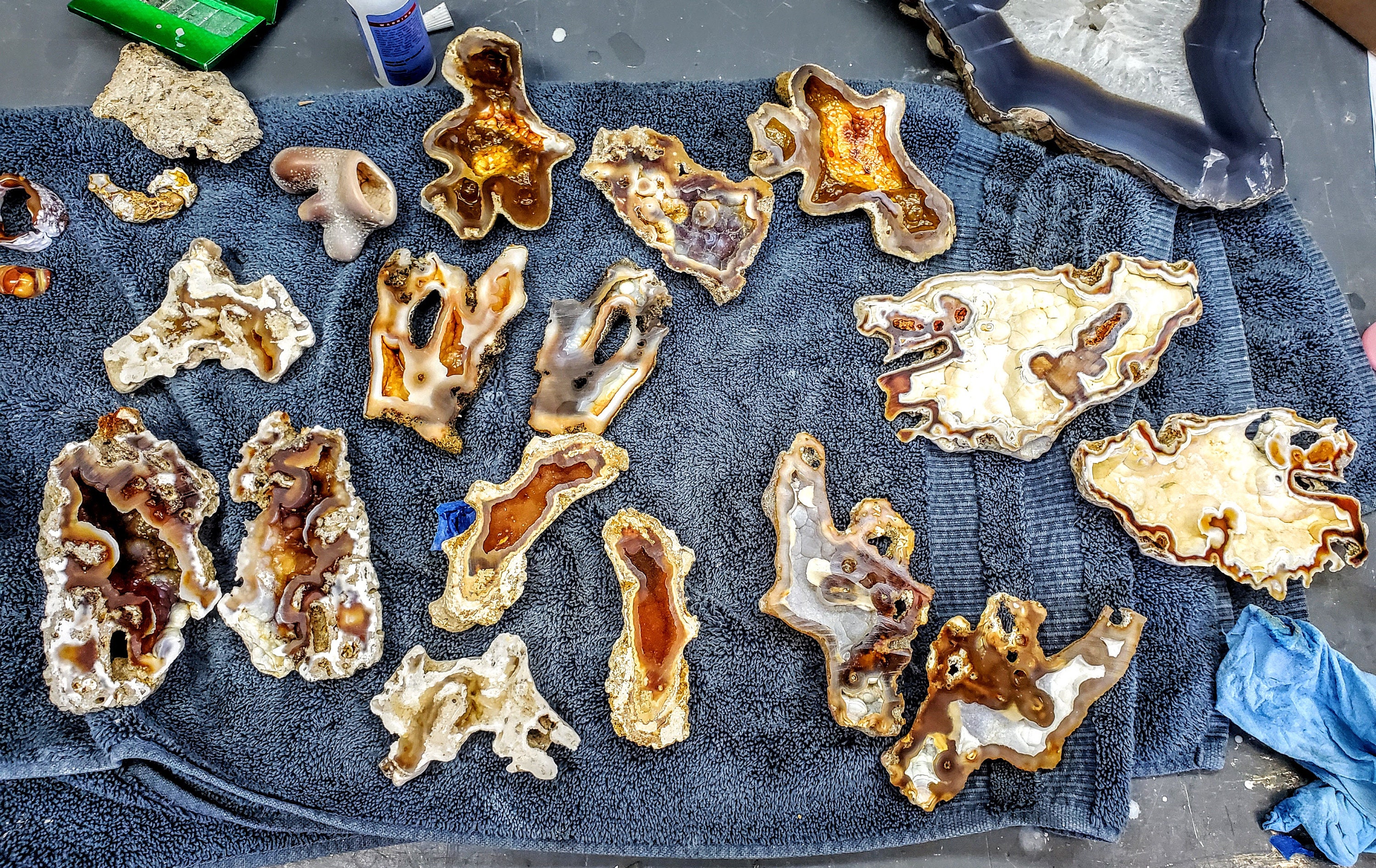 希少な瑪瑙化サンゴジオード - Etsy 日本