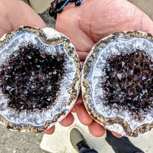 Smoky quartz geode halves from Mexico