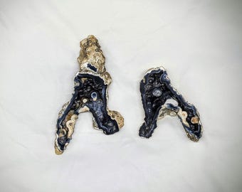Black Agatized Coral Geode pair cut and polished