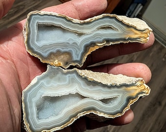 Agatized Coral Geode pair cut and polished