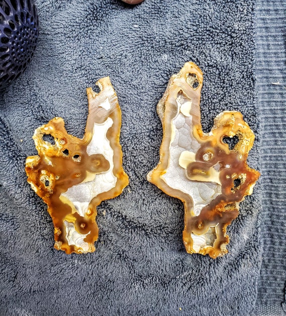 希少な瑪瑙化サンゴジオード - Etsy 日本