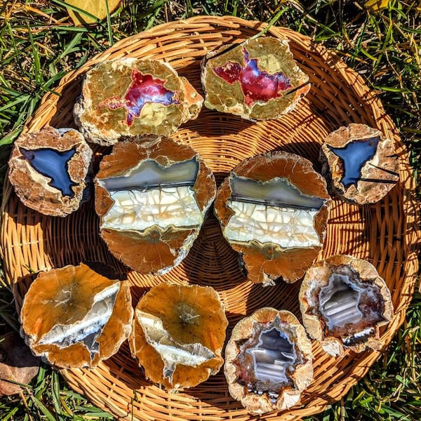 Thunderegg bags unopened (from Oregon/NM including Priday, Opal, Mcdermitt, Moss, Succor Creek, Pony Butte, Secret Ridge, Friends, Crowley)