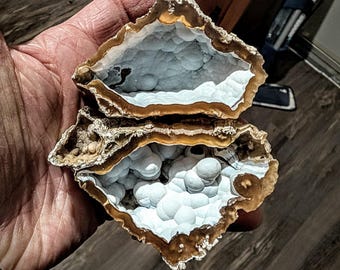 Agatized Coral Geode pair cut and polished