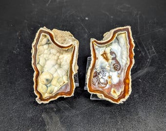 Agatized Coral Geode pair cut and polished