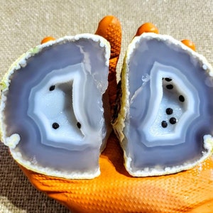 Unopened Brazilian Enhydro geode
