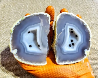 Unopened Brazilian Enhydro geode