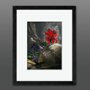 May include: A red flower with a white center blooms on a mossy rock in a forest setting. The flower is surrounded by green leaves and a large tree trunk.
