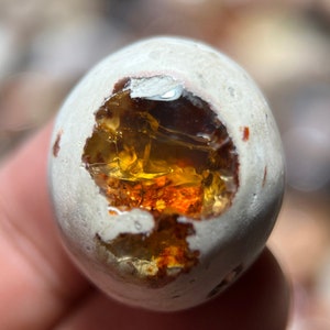 Crystal View, Cantera Opal, AAA Grade Quality Collection. 31.14 carats 23x20x11 mm.