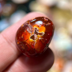Blood Drop, Cantera Fire Opal, AA Grade Quality Collection. 20.79 carats 21x17x10 mm.