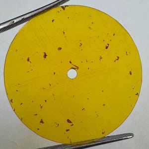 May include: A circular, translucent yellow watch dial featuring a central hole and scattered, irregular metallic gold-colored flakes embedded throughout the surface. The dial is held by metal tweezers at the top and bottom edges.
