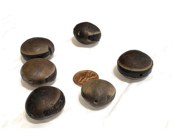 Drilled deer&#39;s eye.