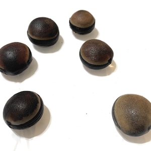 Ojo de venado, olho de veado (6 contagens)