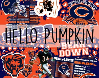 marketing jobs chicago bears